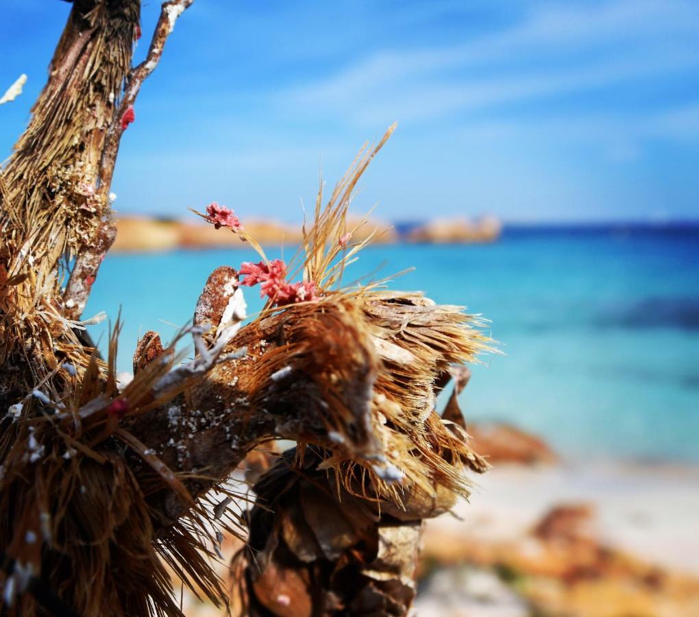 Bassacutena Casa Duminicheddha, Mare E Relax In Gallura מראה חיצוני תמונה